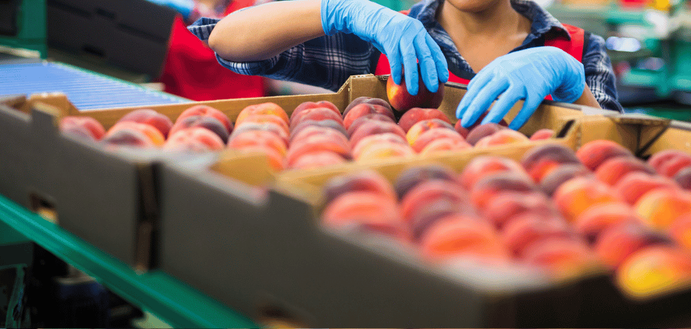 ¿Qué es la Agroindustria?