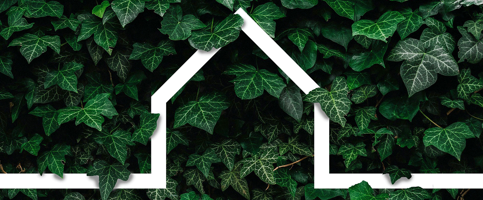 consumo-energetico-vivienda