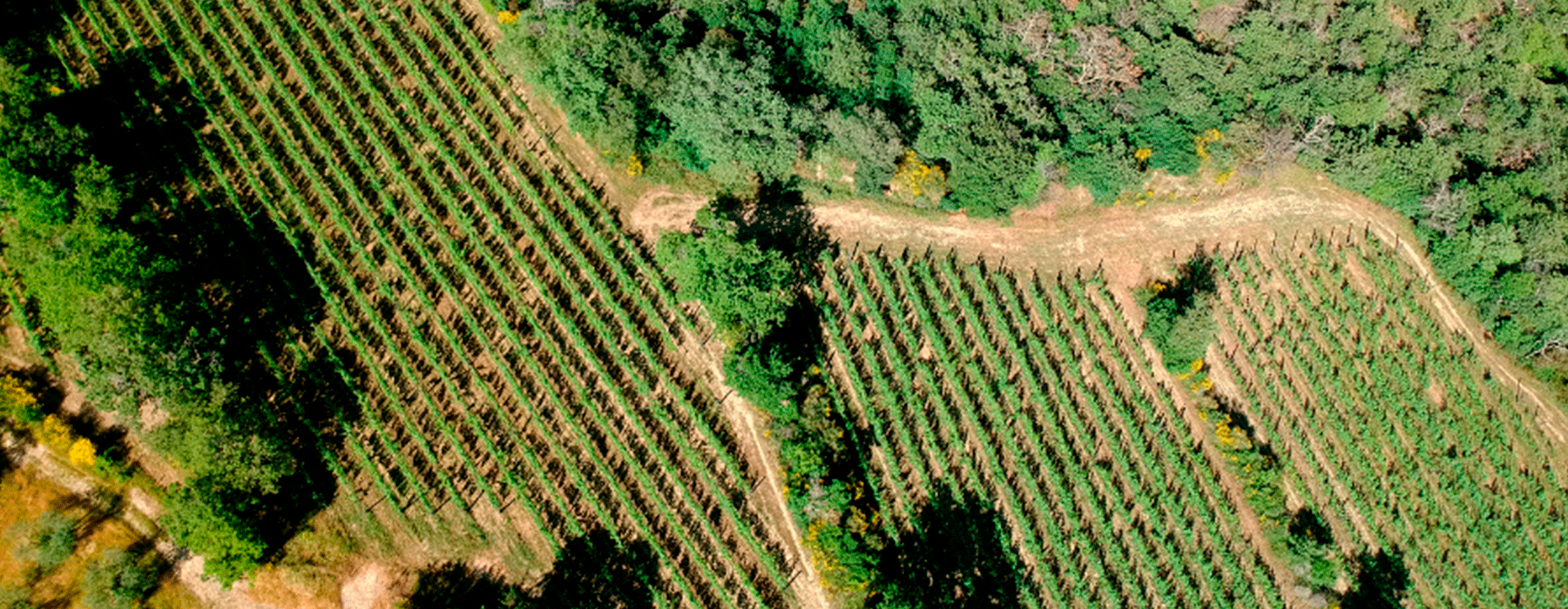 invertir-finca-rustica