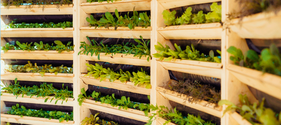 agricultura-vertical
