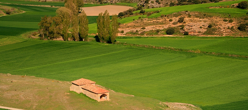 Construir en Finca Rústica