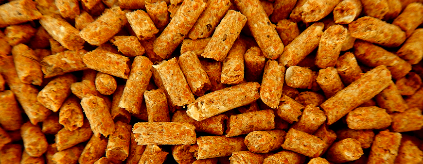 biomasa-pellets